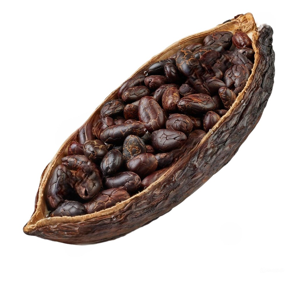 Объем торгов фьючерсами на какао на Мосбирже в первый день превысили 53 млн. рублей