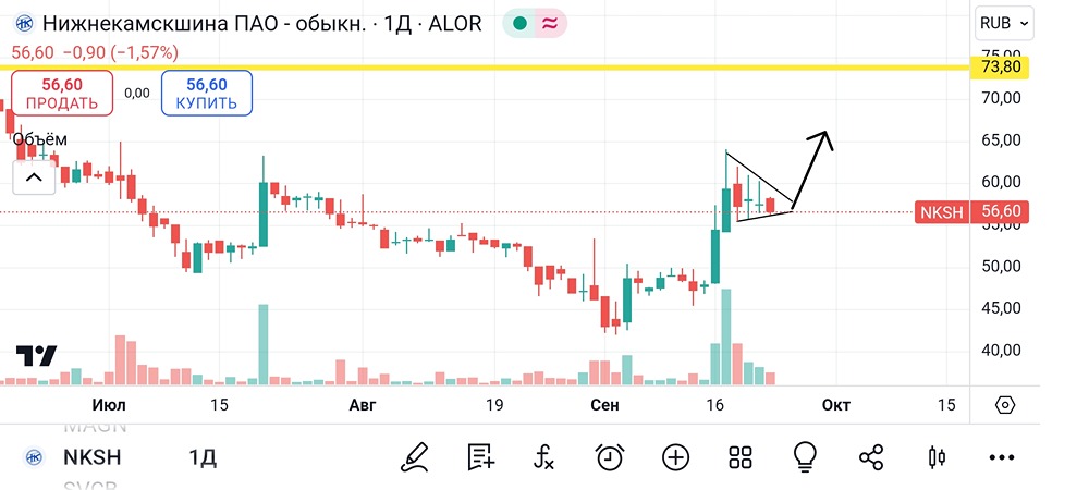 Анализ и аналитика акций Нижнекамскшина. Мнение трейдера и эксперта. 