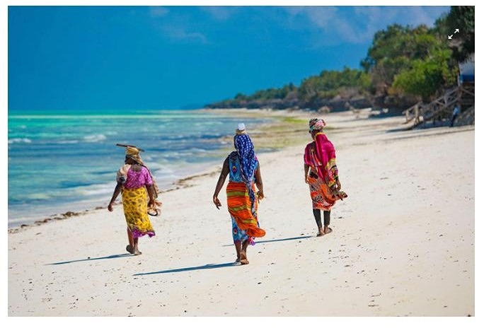 Рост популярности туров в Африку: основные направления и предпочтения российских туристов