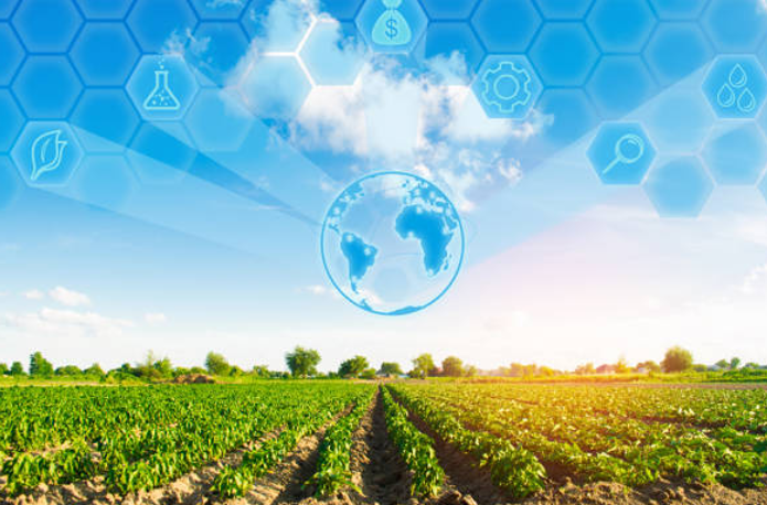 Высококачественные удобрения «Фосагро» привлекают покупателей из Бразилии и Индии