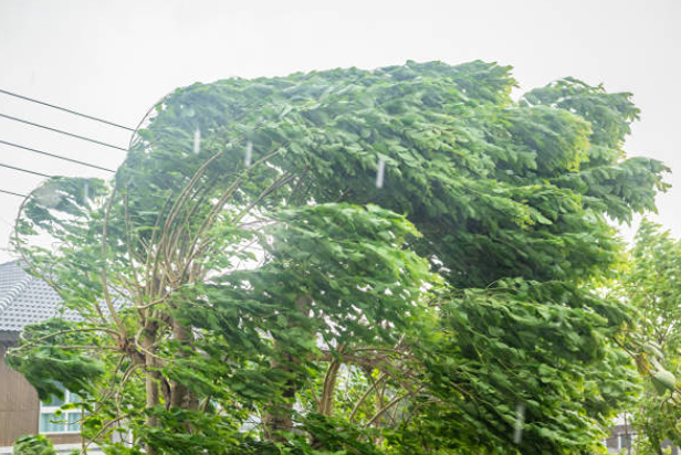 Региональные «Россети» сообщили о последствиях сильного шторма и града