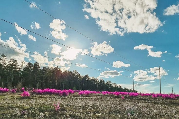 Энергобезопасность Забайкалья усилена благодаря проекту «Россети»