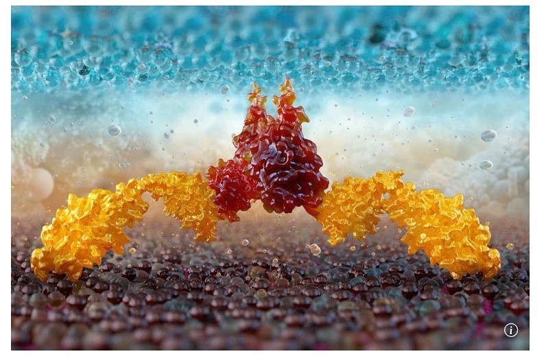 Китайские учёные создали недорогое лечение рака и других заболеваний