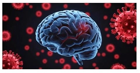 Проблемы с вниманием после COVID-19: как сохраняется «туманность» у пациентов даже после полного выздоровления