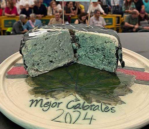 Самый дорогой сыр в мире был продан в Испании