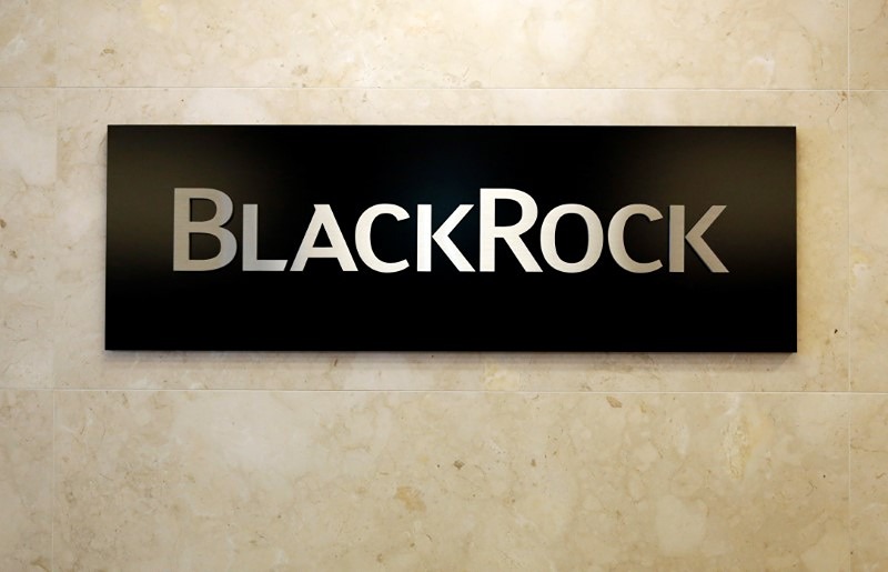 Рик Ридер из BlackRock прогнозирует стабильную экономику США и рост инноваций