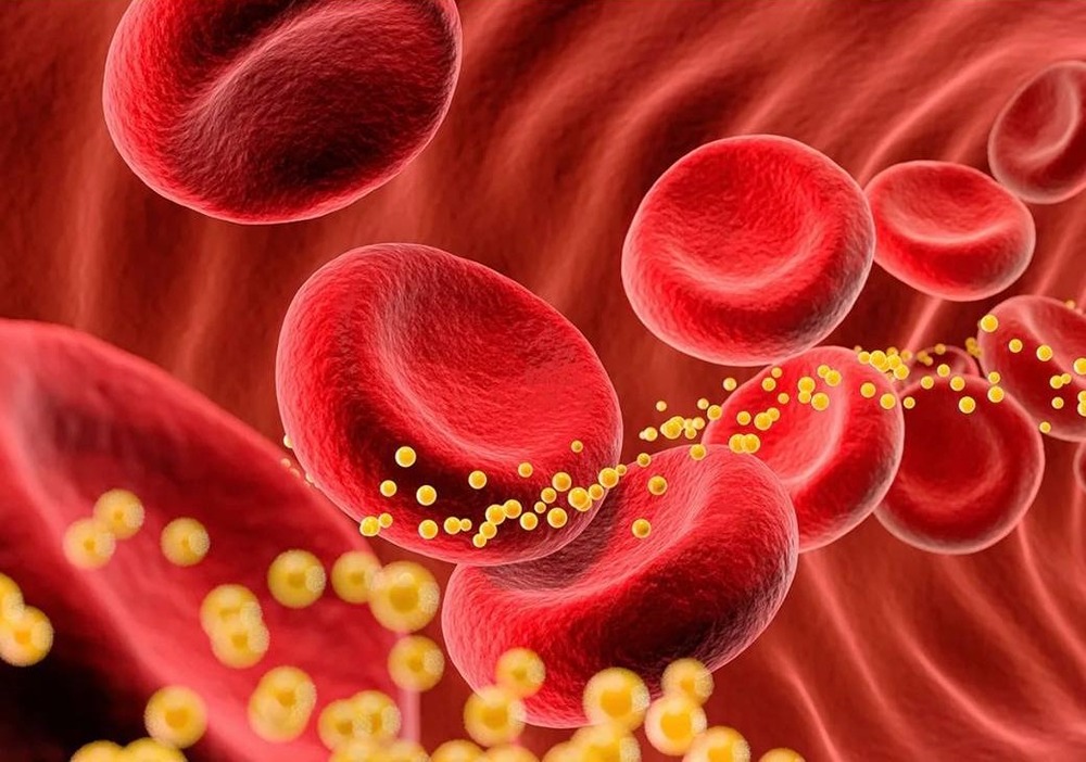 Исследование: регулярное употребление двух яиц помогает снизить уровень «плохого» холестерина