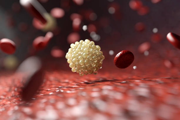 Ученые опровергли связь между употреблением яиц и уровнем холестерина.