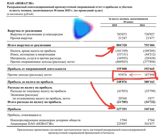 Новатэк за 1 полугодие 2025: низкий долг, стабильный бизнес и инвестиционные идеи