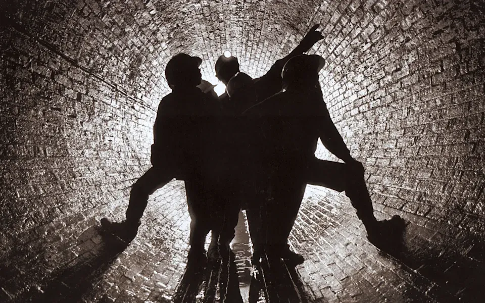 Исследование Microsoft: профессии с низкой заменяемостью ИИ — водители, строители, санитары