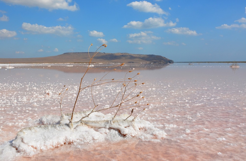 Почему Кояшское озеро в Крыму называют розовым и чем оно уникально?