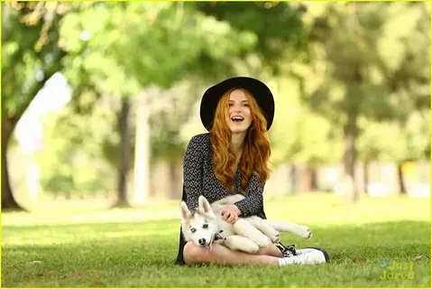 Как собаки помогают человеку справляться со стрессом по мнению учёных?