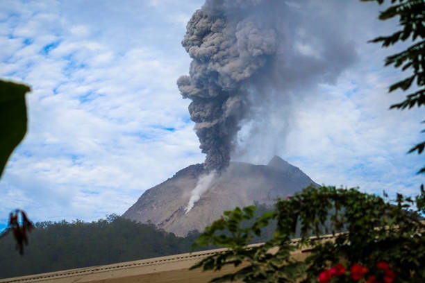 Какие вулканы на Камчатке проснулись после землетрясения и чем это опасно?
