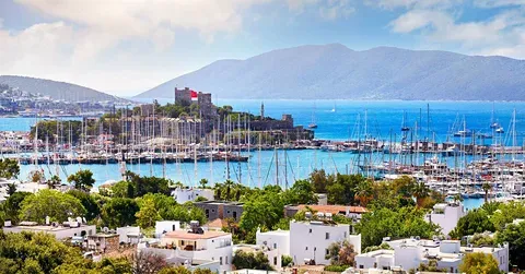 Как часто акулы появляются у турецких курортов?