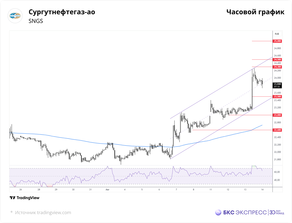 Сможет ли «Сургутнефтегаз» пробить сопротивление 25 руб. и продолжить рост?