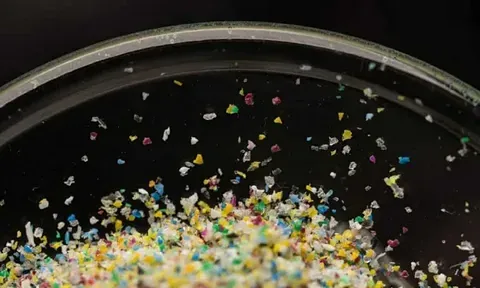 Какие основные источники микропластика были выявлены в результате исследования?