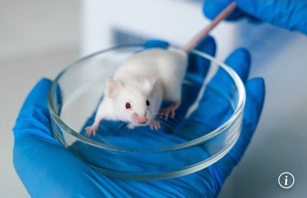 «Поможет ли новая терапия вернуть радость жизни пациентам с депрессией?»