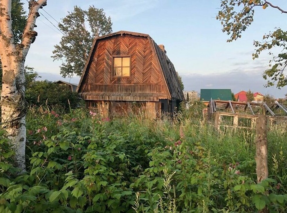 Какие наказания грозят владельцам за неиспользование земельного участка?