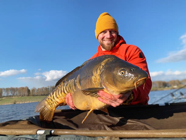 Можете ли вы представить карпа весом в 41 кг?