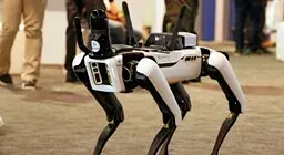 Почему в Гонконге решили использовать роботов-собак против лихорадки?