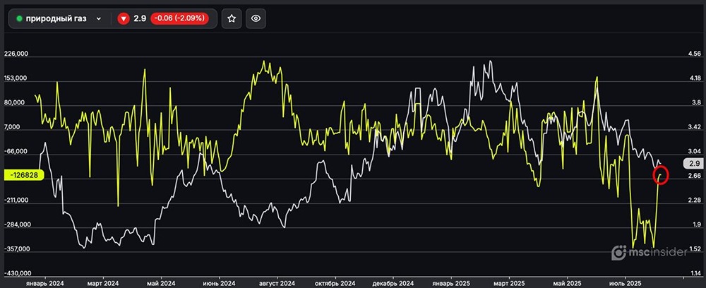 Как себя ведут юрлица по фьючерсам на природный газ?