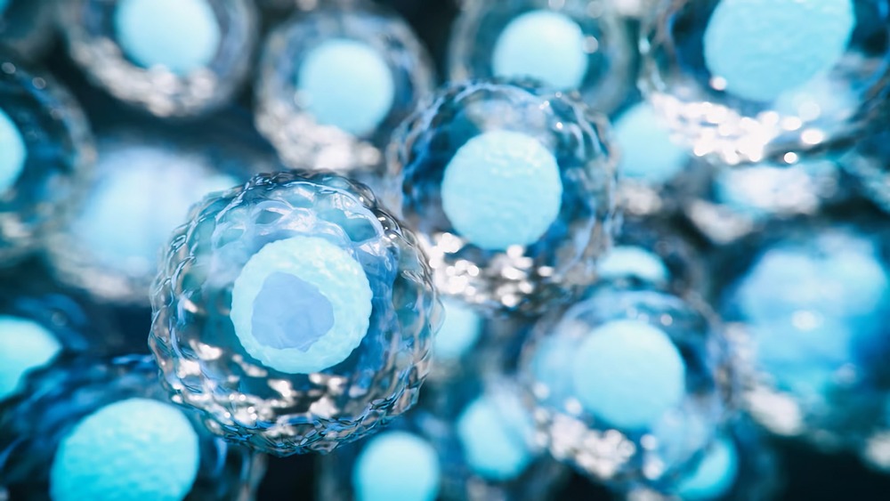 Может ли генетический отбор реально повысить интеллект будущего ребенка?