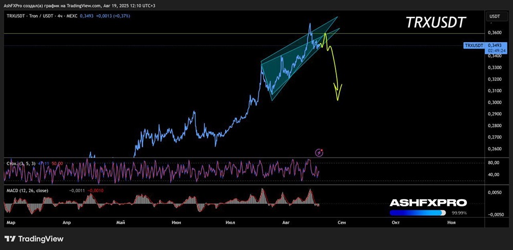 Крита Tron: когда стоит покуть в долгосрочный портфель?