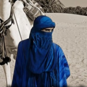 Аватар пользователя 'Alixan2608'