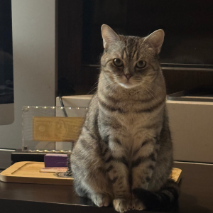 Аватар пользователя 'Smelen'